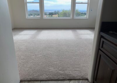 El Dorado Hills carpeted room with a view.